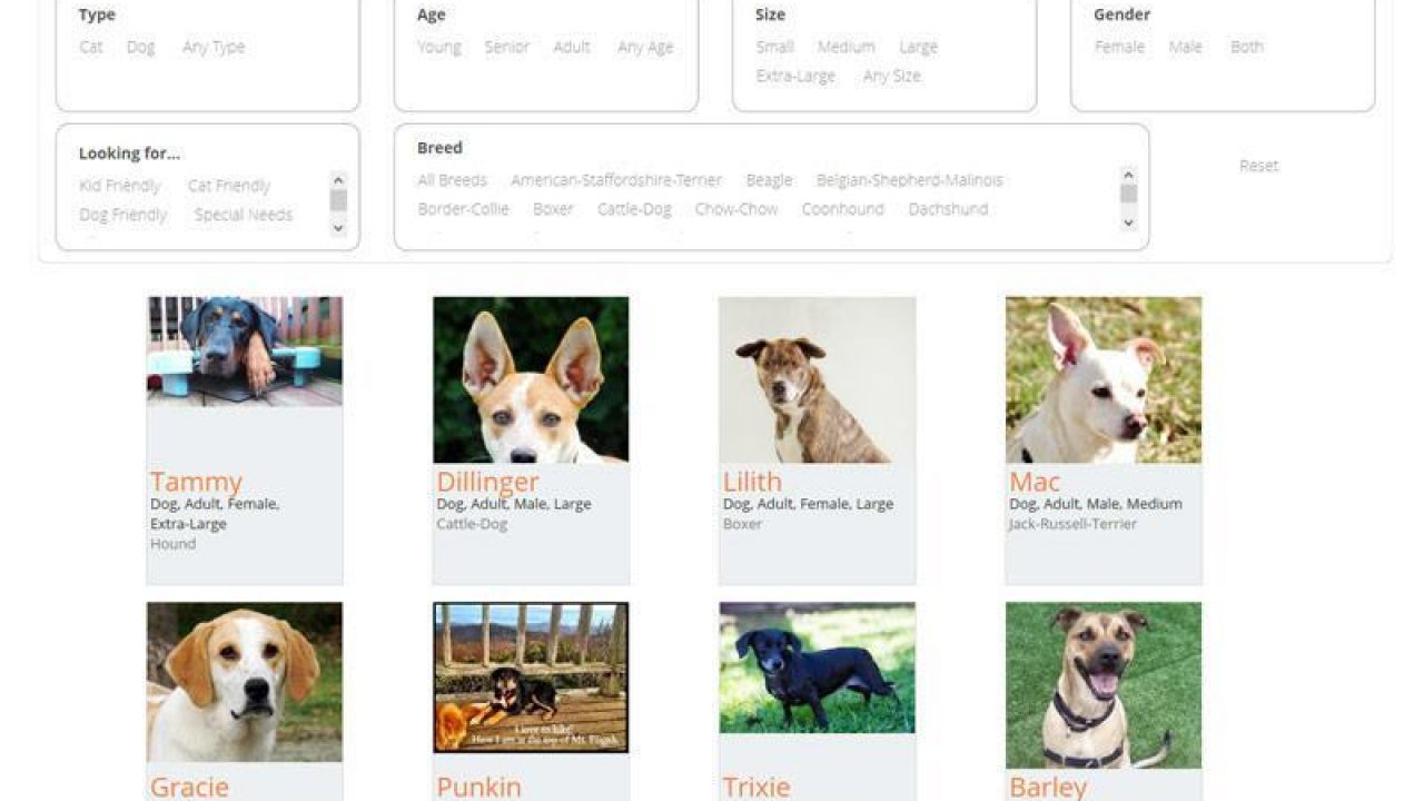 Petfinder search by store breed