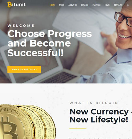 bitunit bitcoin cryptocurrency wordpress theme hack