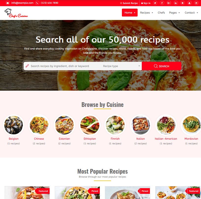 bizi a wordpress theme for food bloggers