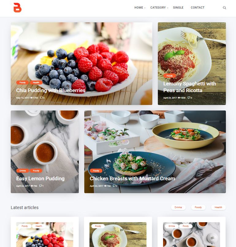 bizi a wordpress theme for food bloggers