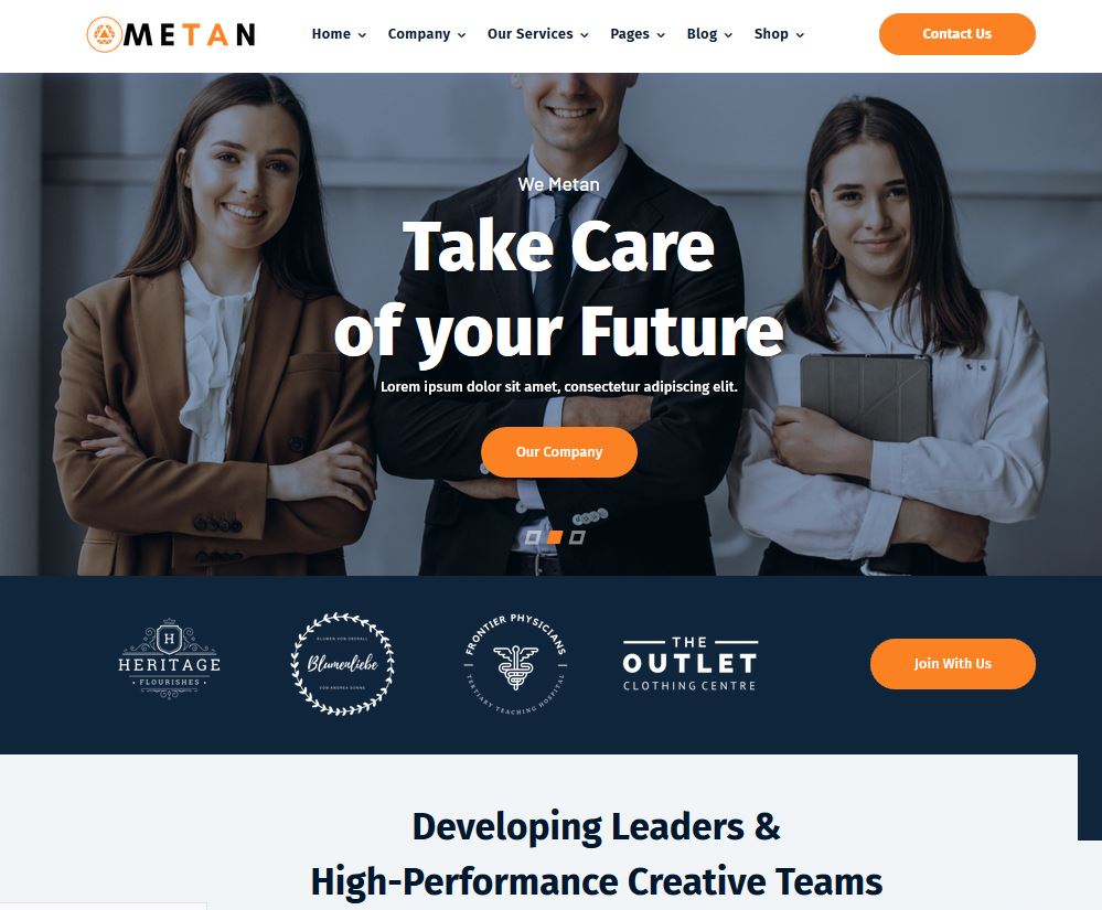 Metan Multipurpose Divi Theme - WP Solver